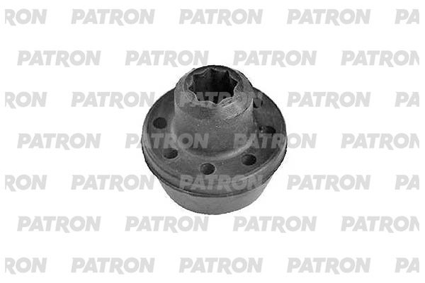 PATRON PSE31120