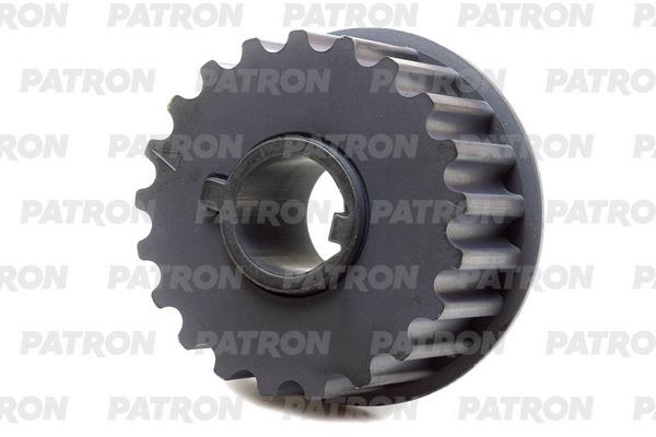PATRON P31-0031