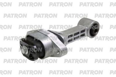 PATRON PSE30809