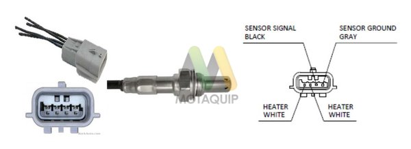 MOTAQUIP LVOS2025