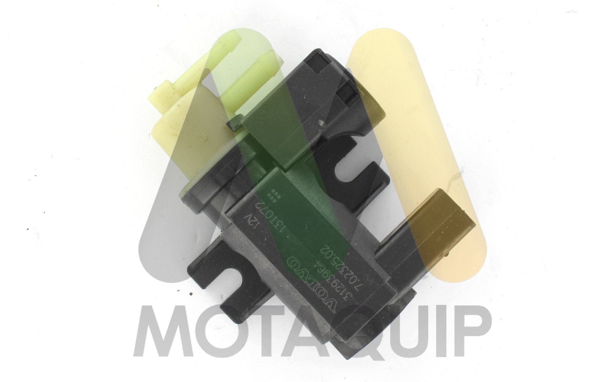 MOTAQUIP LVEV179