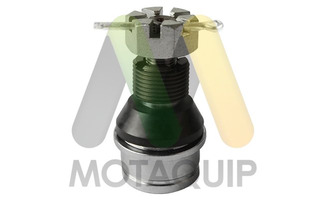 MOTAQUIP LVSJ1173