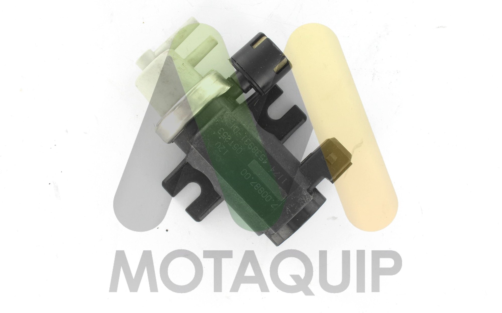 MOTAQUIP LVEV194