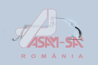 ASAM 32689 ASAM 32689