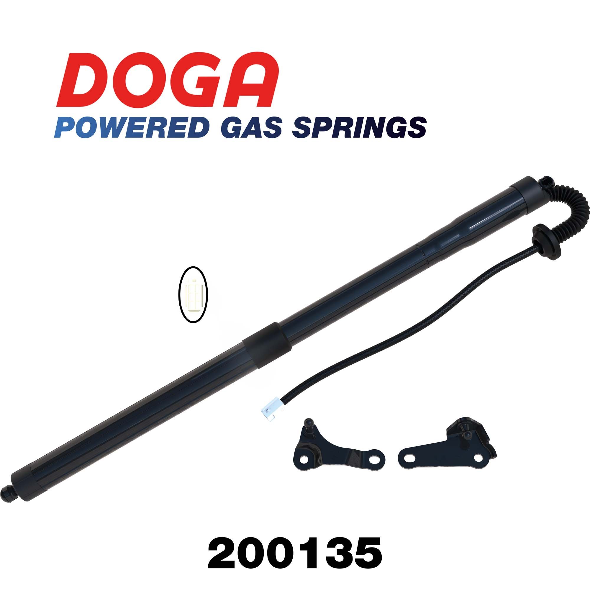 DOGA 200135