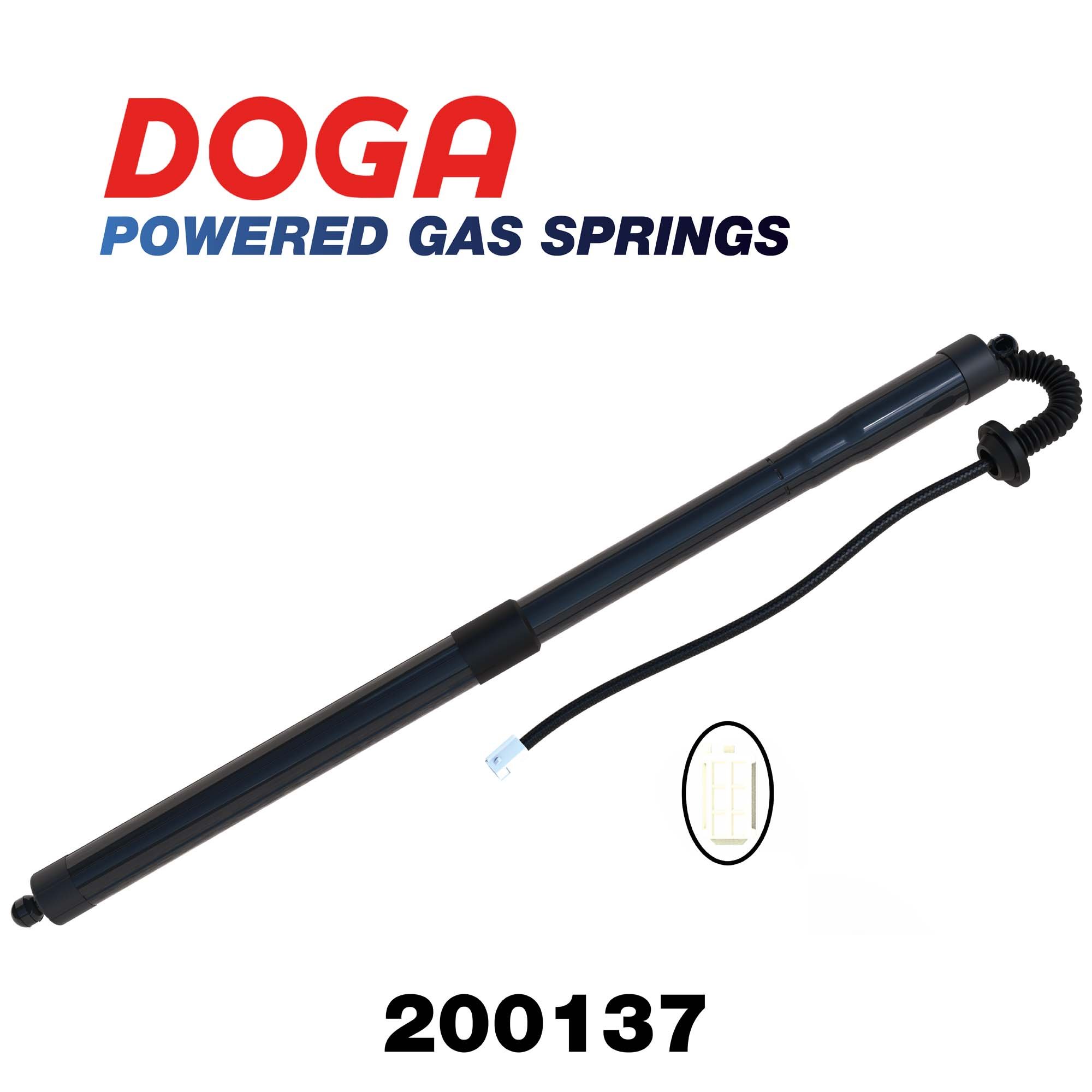 DOGA 200137