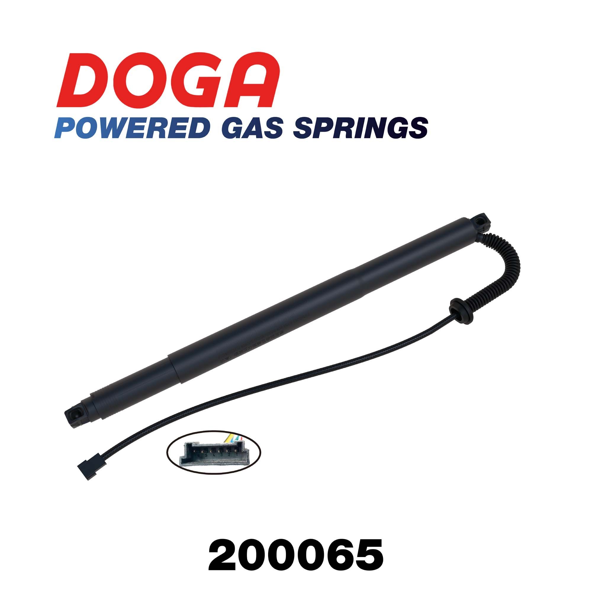 DOGA 200065