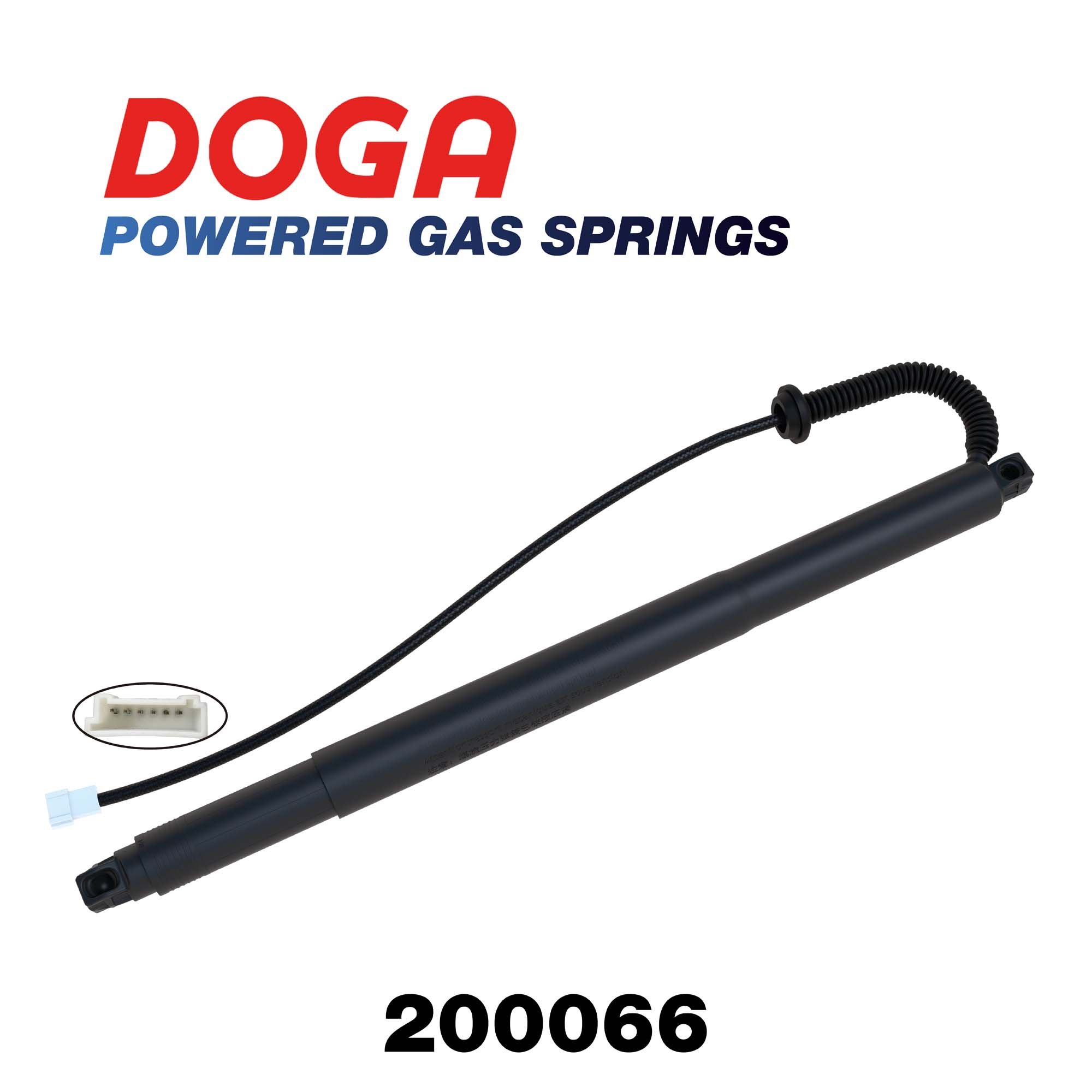 DOGA 200066