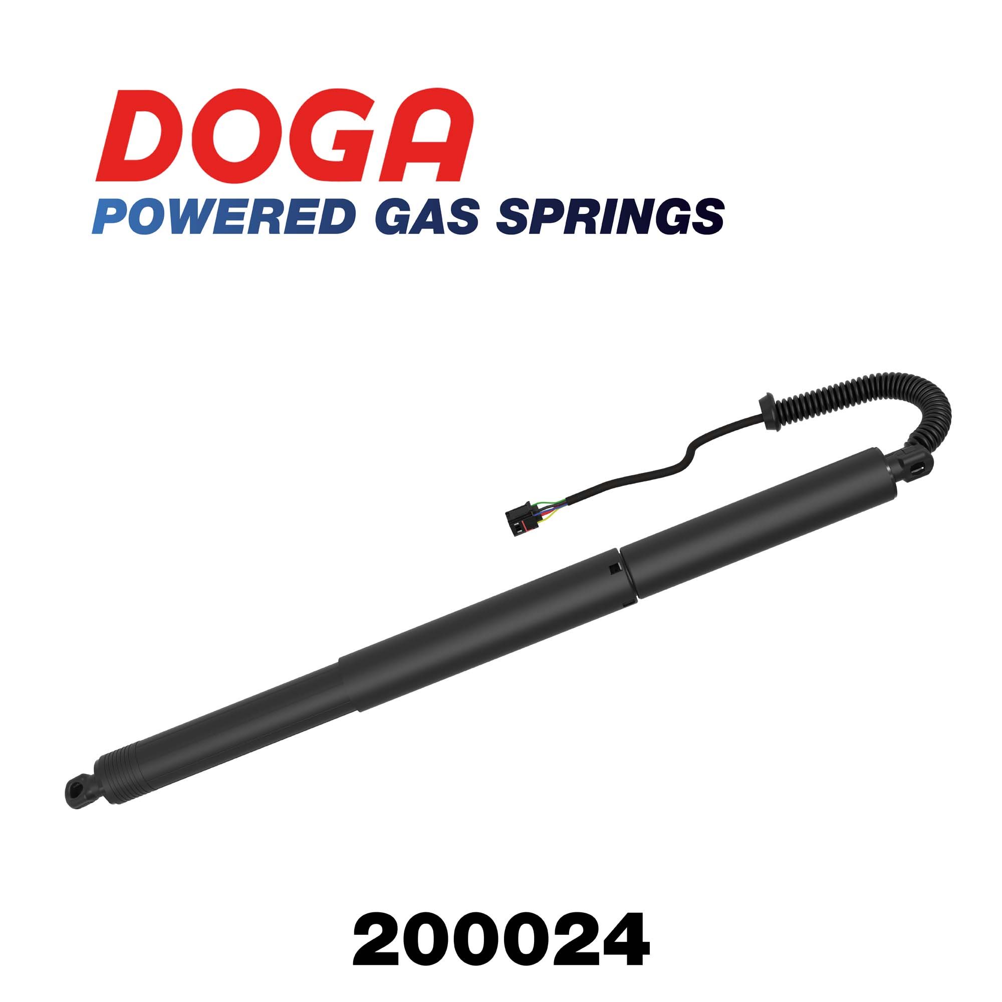 DOGA 200024