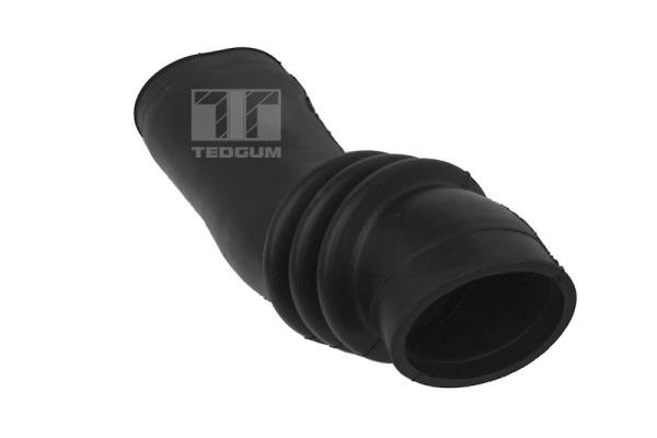 TEDGUM 00392619