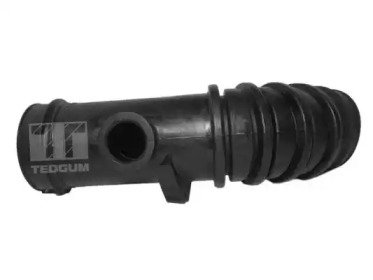 TEDGUM 00672498