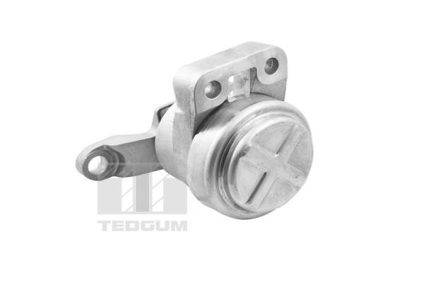 TEDGUM TED36070