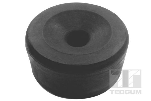 TEDGUM 00376204