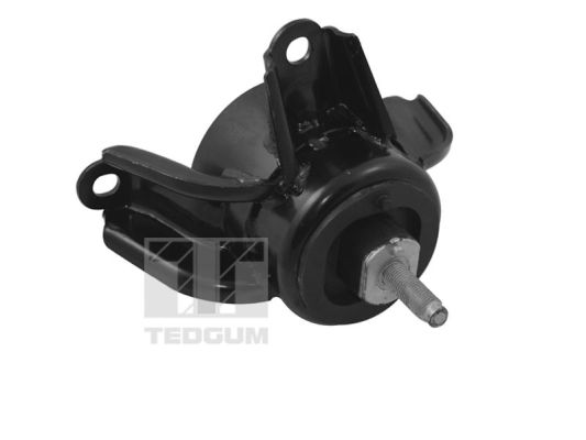 TEDGUM TED70060