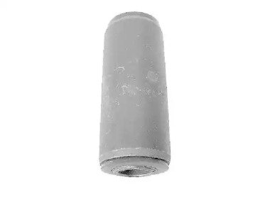TEDGUM 00244169