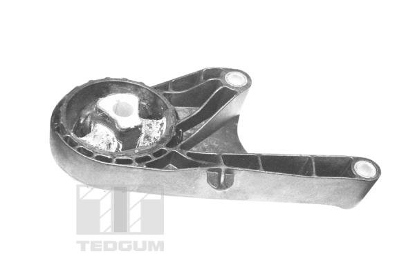 TEDGUM TED22755