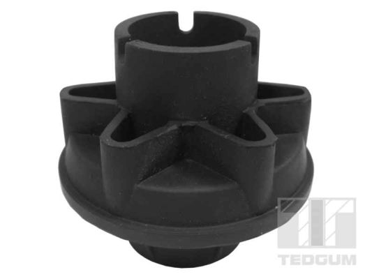 TEDGUM 00374407