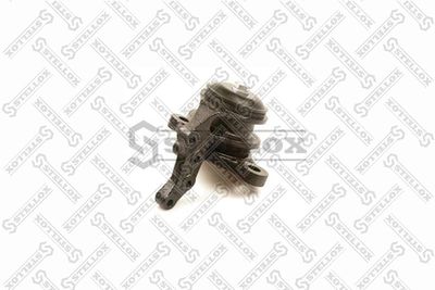 STELLOX 81-02748-SX