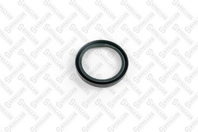 STELLOX 81-01108-SX STELLOX 81-01108-SX