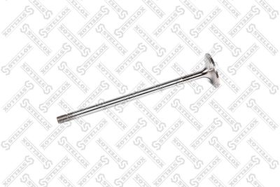 STELLOX 81-24640-SX STELLOX 81-24640-SX