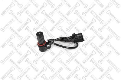 STELLOX 88-20219-SX STELLOX 88-20219-SX