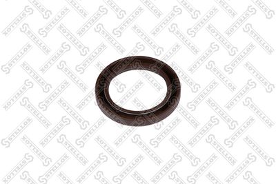 STELLOX 81-01130-SX STELLOX 81-01130-SX