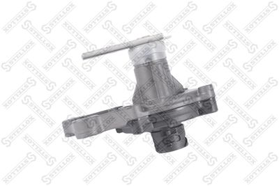 STELLOX 84-17007-SX STELLOX 84-17007-SX