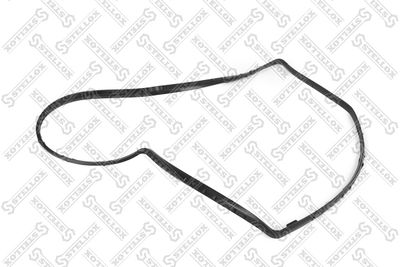 STELLOX 81-65146-SX STELLOX 81-65146-SX