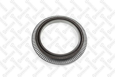 STELLOX 81-01242-SX STELLOX 81-01242-SX