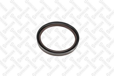 STELLOX 81-01163-SX STELLOX 81-01163-SX