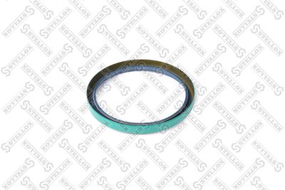 STELLOX 81-01174-SX STELLOX 81-01174-SX