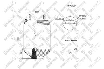 STELLOX 84-00119-SX STELLOX 84-00119-SX
