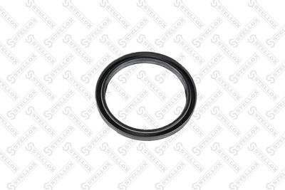 STELLOX 81-01293-SX STELLOX 81-01293-SX