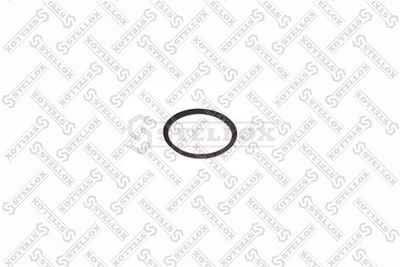 STELLOX 81-01001-SX