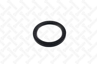STELLOX 81-01167-SX STELLOX 81-01167-SX