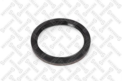 STELLOX 81-01156-SX STELLOX 81-01156-SX