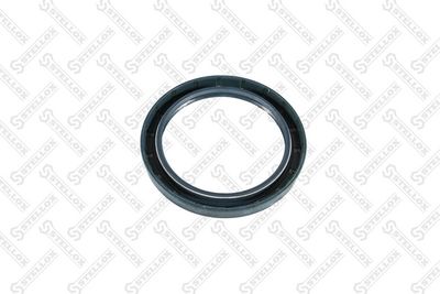 STELLOX 81-01146-SX STELLOX 81-01146-SX