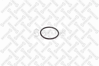 STELLOX 81-01002-SX