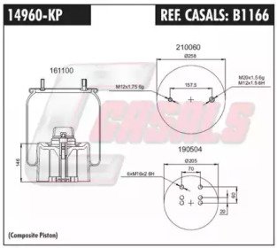 CASALS B1166 CASALS B1166