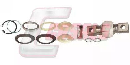 CASALS R3564 CASALS R3564