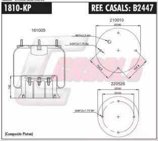 CASALS B2447