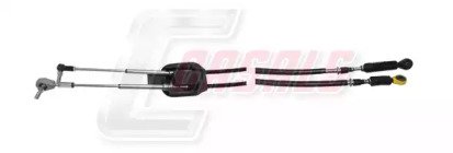 CASALS 66101