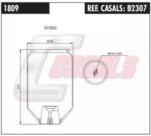 CASALS B2307