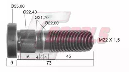 CASALS 21282