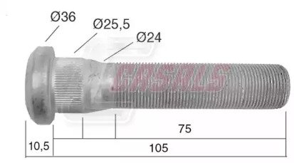 CASALS 21531