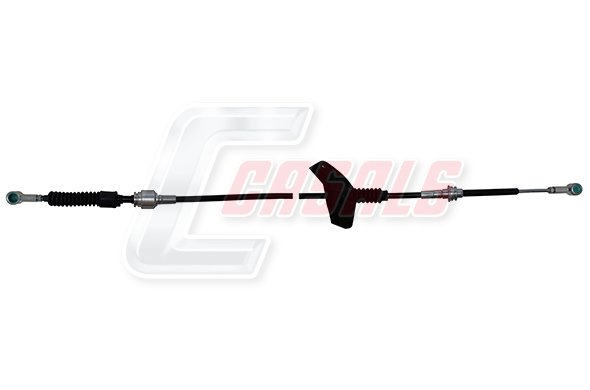 CASALS 66251