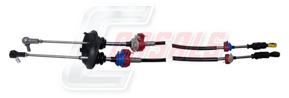 CASALS 66157