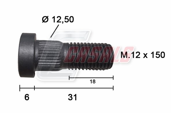 CASALS 21576 CASALS 21576