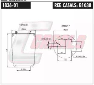 CASALS B1038