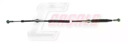 CASALS 66117